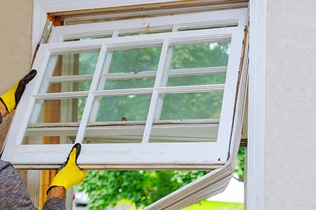 Window Replacement in Ocoee, FL